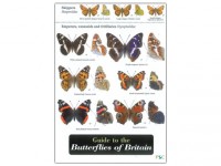 Guide to the Butterflies