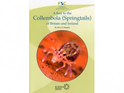 A Key to the Collembolla (Springtails) of Britain
