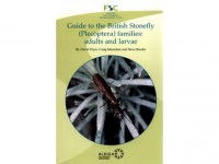 Guide to the British Stonefly (Plecoptera)families