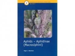Aphids - Aphidinae (Macrosiphini)