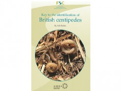 Key to the identification of British centipedes