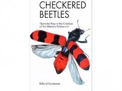 Checkered Beetles - Buntkafer