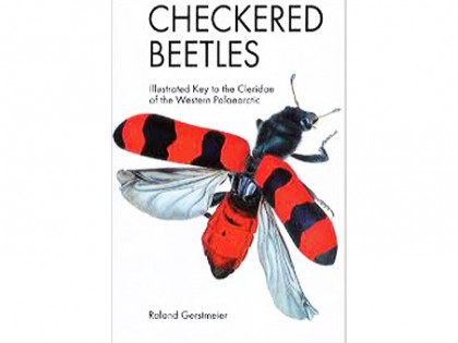 Checkered Beetles – Buntkafer 1
