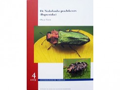 De Nederlandse prachtkevers (Buprestidae)