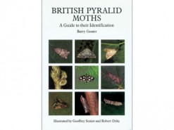 British Pyralid Moths