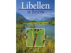 Libellen in Bayern