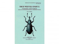 True Weevils Part I