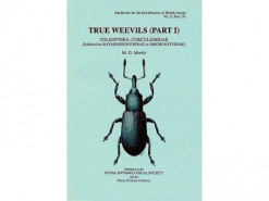 True Weevils Part I