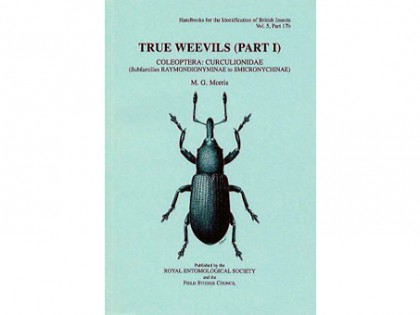 True Weevils Part I 1