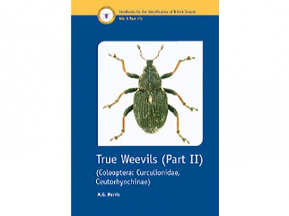 True Weevils Part II 1