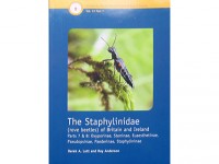 The Staphylinidae (rove beetles) part 2