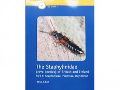 The Staphylinidae (rove beetles)