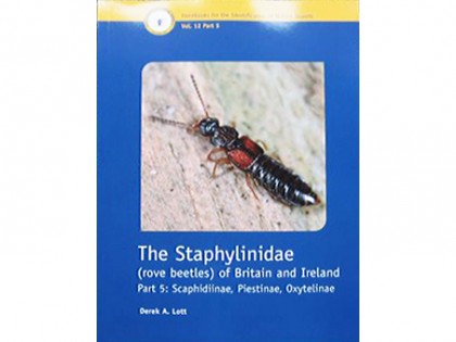 The Staphylinidae (rove beetles) 1