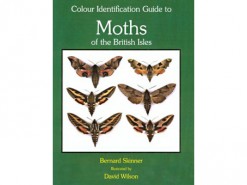 Colour Identification Guide to Moths