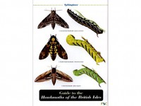 Guide to the Hawkmoths