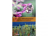 Bienen Mitteleuropas