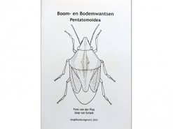 Boom- en bodemwantsen