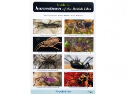 Guide to Harvestmen