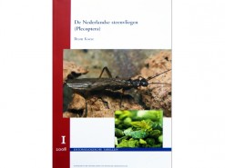 De Nederlandse Steenvliegen