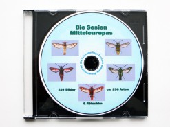CDrom: Die Sesien Europas und Nordwestafrikas