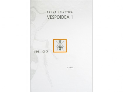 Vespoidea 1 1