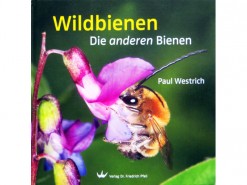 Wildbienen - Die anderen Bienen