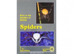 Keys to the families of British Spiders