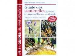 Guide des sauterelles d'Europe