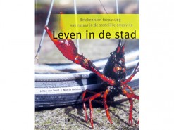 Leven in de stad