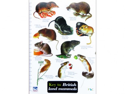 Key to British land mammals 1