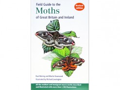 Field Guide to the Moths of GB & Ireland