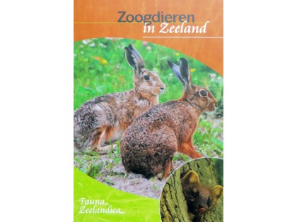 Zoogdieren in Zeeland 1