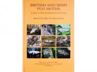 British and Irish Pug Moths - the Eupitheciini