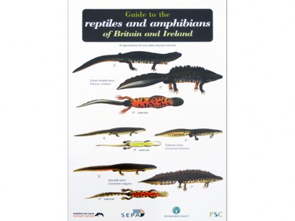 Guide to the reptiles and amphibians 1