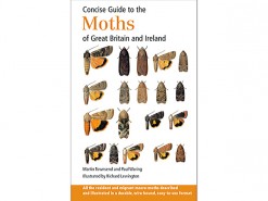 Concise Guide to the Moths