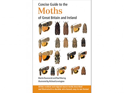 Concise Guide to the Moths 1