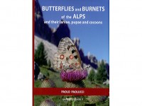 Butterflies and Burnets of the Alps