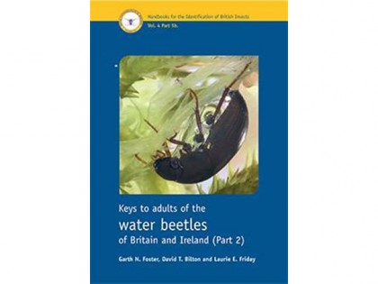 Key to the adult waterbeetles part 2 1