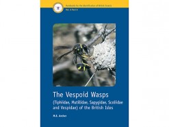 7.306 The Vespoid Wasps