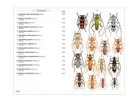 8.231 Coleopteres phytophages vol. 1 binnen1