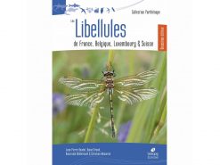 les-libelulles