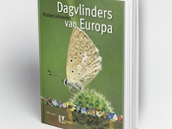 Dagvlinders