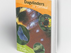 Dagvlinders-gebieden