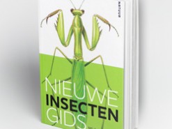 Insectenboeken