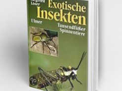 Kweekboeken