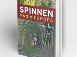 Spinnen