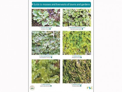 OP164 Guide to mosses Town and Garden