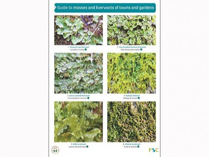 OP164 Guide to mosses Town and Garden