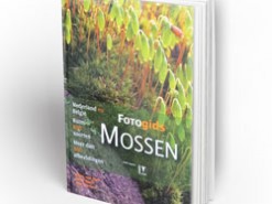 Mossen