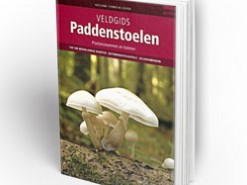 Paddenstoelen